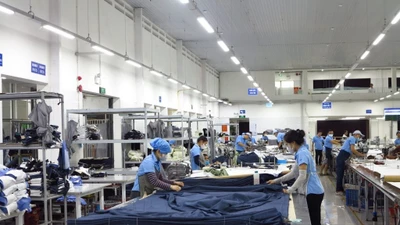 Doanh thu quý lập đỉnh, Hòa Thọ vẫn giảm lãi tới 39% 