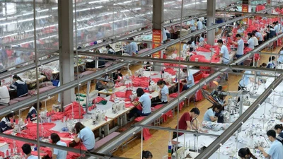 May Sông Hồng “vét” gần hết lãi 9 tháng để chia cổ tức 40%