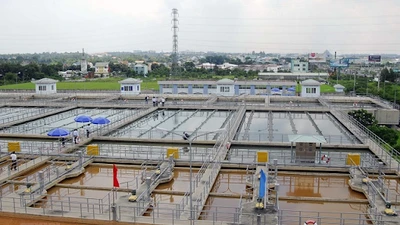 Saigon Water đối mặt nghi vấn BCTC, kiểm toán viên Grant Thornton bị đình chỉ