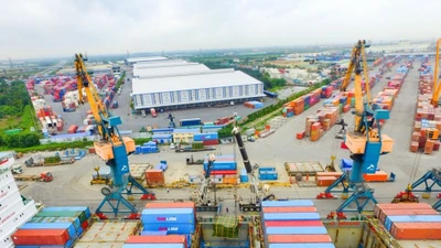 DN sở hữu đội tàu lớn nhất Việt Nam nâng mục tiêu lợi nhuận năm vượt 1.100 tỷ