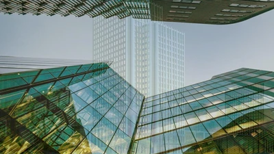 Công ty Tây Hồ và "mùa bội thu" 2025: Phân tích dữ liệu trúng thầu tại TP HCM [Kỳ 2] 