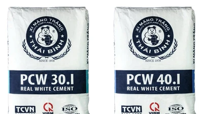 Xi măng Thái Bình - thương hiệu 45 năm tuổi đứng trước nguy cơ rời sàn