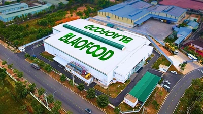 Trước thềm lên HoSE, Antesco báo lãi cao nhất lịch sử