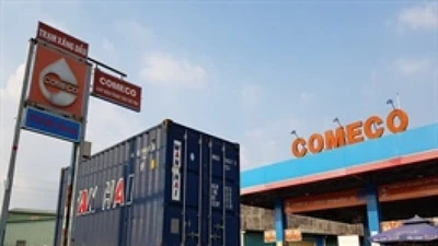 Comeco bị phạt 112,5 triệu đồng do thiếu thành viên HĐQT độc lập