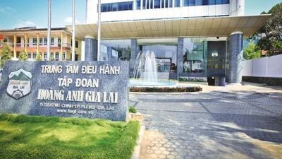 HAGL chuyển nợ thành vốn góp, gỡ gánh nợ 300 tỷ đồng cho công ty con