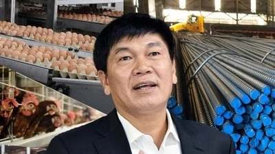 Vietcap mạnh tay rót 300 tỷ ôm 23% vốn IPO Hòa Phát HPA