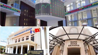 VNX “bứt phá” quý 3, lợi nhuận vượt nửa năm trước cộng lại