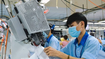 UBCKNN đình chỉ kiểm toán viên ký BCTC 2024 của Garmex Sài Gòn