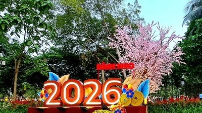 Cận cảnh gói trang trí Tết 1,9 tỷ tại xã Đức Trọng vừa về tay nhà thầu Nhật Minh Trí 