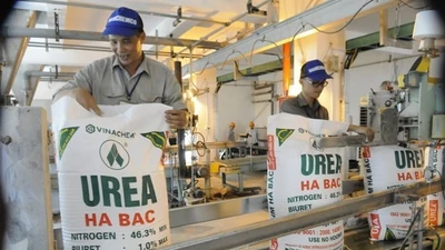 Quý 3 lỗ gần 100 tỷ, Đạm Hà Bắc ‘gánh’ lỗ lũy kế vượt 2.100 tỷ đồng