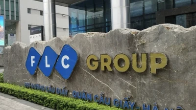Hai thành viên HĐQT FLC đồng loạt từ chức