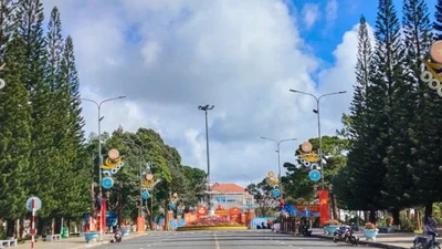 Công ty Kỹ thuật Viễn Đông trúng thầu sát giá tại Phường 1 Bảo Lộc [Kỳ 1] 