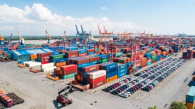 Doanh thu không nổi 70% kế hoạch, lợi nhuận Cảng Đình Vũ bốc hơi 34%
