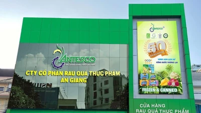 Antesco hoãn chia cổ tức, dồn lực lên sàn HoSE trong quý 4/2025