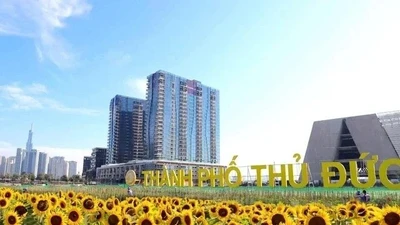 Công ty T.A.T.T: Từ những gói thầu "độc diễn" đến thất bại tại sân chơi cạnh tranh cao [Kỳ 2] 