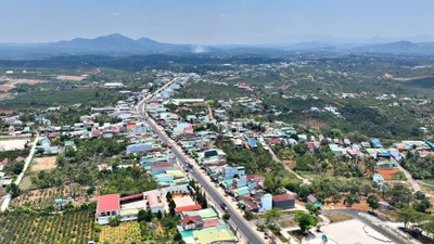 Lâm Đồng: Soi tỷ lệ tiết kiệm tại các gói thầu của Công ty TNHH Đầu tư và Xây dựng Paladi [Kỳ 2]