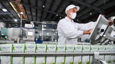 Mộc Châu Milk lãi giảm vẫn mạnh tay chi cổ tức 110 tỷ đồng