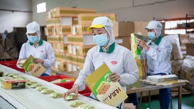 Hai doanh nghiệp lớn Bibica và Viwasupco chính thức bị hủy tư cách đại chúng