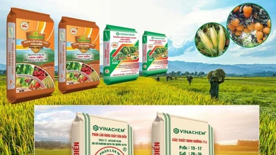 Cổ đông nhỏ lẻ giảm sâu, VAF đối mặt nguy cơ hủy niêm yết