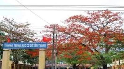 Đồng Nai: Đối thủ tự trượt "ngớ ngẩn", liên danh "quen mặt" trúng gói thầu sát giá [Kỳ 1] 