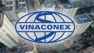 Vinaconex chi hơn 1.231 tỷ đồng thâu tóm 1 DN sở hữu loạt quỹ đất vàng 