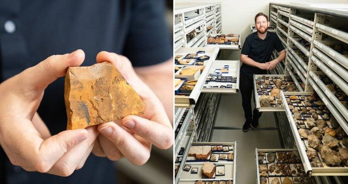 Theo Tiến sĩ Matthew, việc tìm ra loài muỗi mới Telmatomyia talbragarica giúp các nhà khoa học có thêm bằng chứng, thông tin giá trị về những loài vật chưa biết đến cũng như giúp ích cho công tác nghiên cứu cổ sinh vật học. Ảnh: Louise Reily/Australian Museum.