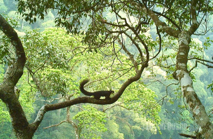 VQG Du Già - Cao nguyên đá Đồng Văn thuộc địa bàn các xã Tùng Bá, Minh Sơn, Du Già, tỉnh Tuyên Quang. Đây là khu vực có tính đa dạng sinh học cao.