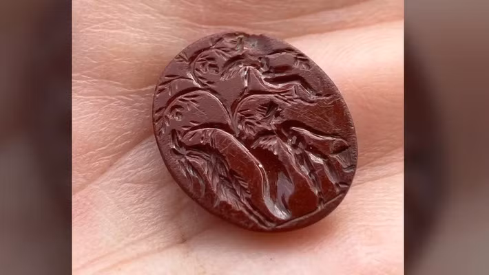 Trong cuộc khai quật mới đây tại Bremenium - pháo đài La Mã ở Anh, phía bắc Bức tường Hadrian, các nhà khảo cổ đã phát hiện một viên đá quý được chạm khắc tinh xảo cảnh thu hoạch nho trong thần thoại La Mã - hình ảnh hiếm khi tìm thấy ở Bắc Âu. Ảnh: Elaine Vallack.