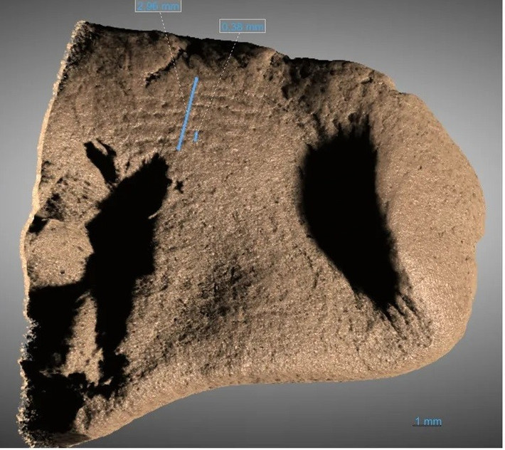 Thông qua nghiên cứu con thuyền Hjortspring hơn 2.000 tuổi, các nhà nghiên cứu sẽ có thể có thêm manh mối giúp hiểu rõ hơn về lịch sử hàng hải của khu vực Nam Scandinavia trong giai đoạn lịch sử này. Ảnh: Erik Johansson, 3D model by Sahel Ganji; Fauvelle et al., 2025, PLOS One, CC-BY 4.0.