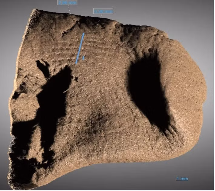 Thông qua nghiên cứu con thuyền Hjortspring hơn 2.000 tuổi, các nhà nghiên cứu sẽ có thể có thêm manh mối giúp hiểu rõ hơn về lịch sử hàng hải của khu vực Nam Scandinavia trong giai đoạn lịch sử này. Ảnh: Erik Johansson, 3D model by Sahel Ganji; Fauvelle et al., 2025, PLOS One, CC-BY 4.0.