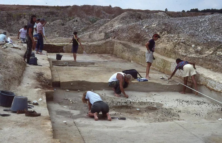 Đồng tác giả nghiên cứu Silvia cho biết xương voi là một nguồn tài nguyên quý hiếm nhưng vô cùng hữu ích, và rất có thể đây là một công cụ có giá trị đáng kể vào gần 500.000 năm trước. Ảnh: UCL Institute of Archaeology.