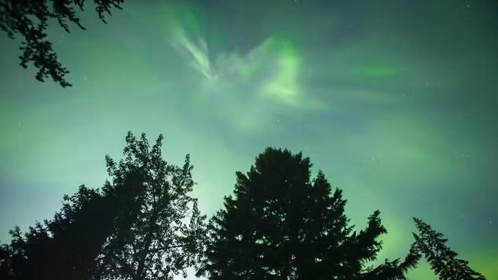 Theo dự báo từ Cơ quan Quản lý Khí quyển và Đại dương Quốc gia Mỹ (NOAA), hiện tượng này sẽ xuất hiện trên hầu hết các vùng của British Columbia, Alberta, Saskatchewan, Manitoba, Yukon, Lãnh thổ Tây Bắc, Nunavut, Labrador và các vùng phía Bắc Ontario, Quebec. Ảnh: Nicole Mortillaro/CBC.