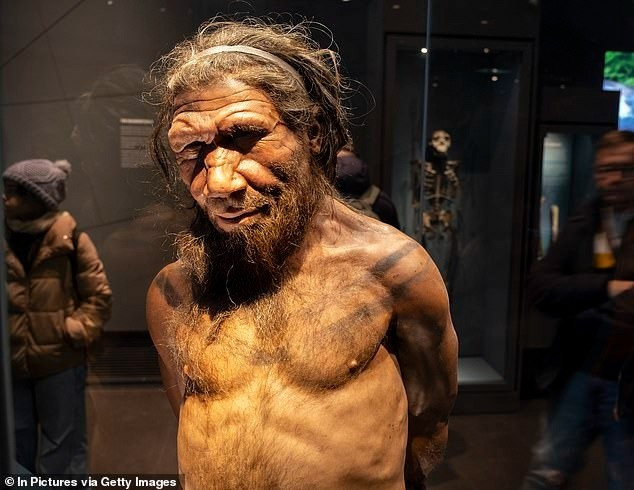 Một mô hình toán học mới đã khám phá ra một kịch bản hấp dẫn trong đó người Neanderthal dần biến mất không phải do "thực sự tuyệt chủng" mà bị hấp thụ gene vào một loài khác đang sinh sôi mạnh mẽ hơn. Đó là loài "người tinh khôn" hay "người hiện đại" (Homo sapiens). Ảnh: In Picture via Getty Images.
