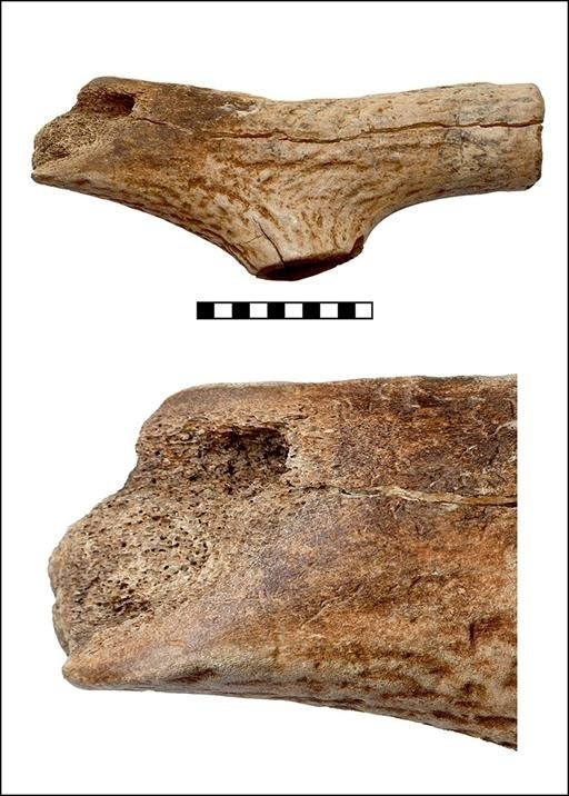 Nhà khảo cổ học Laura cho biết những dân làng trên thuộc về nền văn hóa thời Đồ đá - những người đã di cư đến Trung Âu cách đây tới 7.500 năm từ vùng Aegean và Anatolia, ngày nay là Thổ Nhĩ Kỳ. Nền văn hóa này còn được gọi là LBK thời Đồ đá mới. Tên gọi này được đặt theo loại gốm sứ độc đáo của họ: LBK hay "Linearbandkeramik" trong tiếng Đức, có nghĩa là "gốm sứ có vân tuyến tính"). Ảnh: Martin-Luther University Halle, L. Dietrich / L. Dietrich et al., Antiquity (2026); CC BY-NC-SA 4.0.