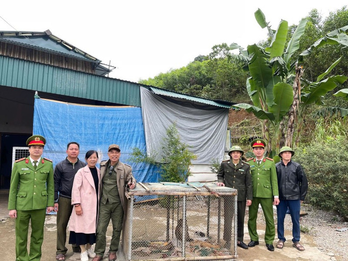 Trước đó, qua công tác đảm bảo an ninh trật tự, Công an xã Xuân Thái phát hiện gia đình ông Lê Văn Đ. (ngụ thôn Yên Vinh, xã Xuân Thái) đang nuôi nhốt 2 cá thể khỉ gồm: 1 cá thể khỉ mốc và 1 cá thể khỉ đuôi dài. Ảnh: Công an Nhân dân.