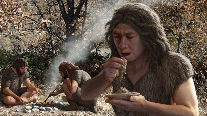 Mặc dù có nhiều bằng chứng cho thấy người Neanderthal thường xuyên ăn thịt nhưng ngày càng có nhiều nghiên cứu cho thấy họ cũng ăn các bộ phận khác của động vật ngoài thịt, chẳng hạn như chất béo chiết xuất từ tủy xương và các loại thực phẩm khác, bao gồm đậu lăng và đậu dại. Ảnh: Mauricio Anton/Science Source.