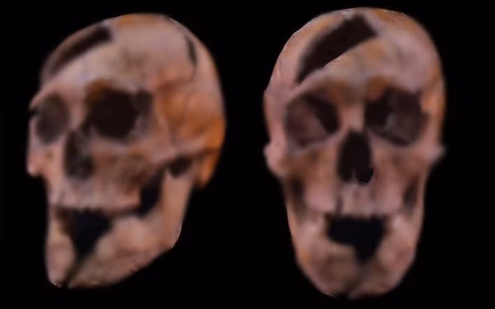 Cụ thể, nghiên cứu mới của các chuyên gia chỉ ra Béla, Công tước xứ Macsó, đã bị đâm hơn 20 nhát bằng nhiều loại vũ khí, bao gồm một thanh kiếm và một thanh trường kiếm. Ảnh: Eötvös Loránd University.