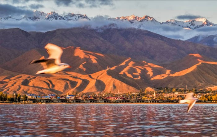 Tại địa điểm thứ 3, nhóm nghiên cứu phát hiện một số đồ gốm thời Trung cổ. Trong khi đó, tại địa điểm thứ 4 có các cấu trúc hình tròn và hình chữ nhật làm bằng gạch bùn. Ảnh: Dan Lundberg/CC BY-SA 2.0.