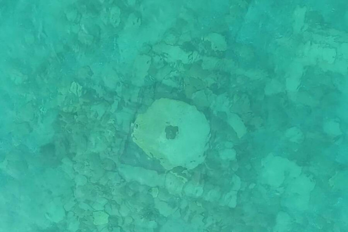 Vì vậy, các chuyên gia tin rằng, Toru-Aygyr có thể từng là điểm dừng chân quan trọng trên Con đường tơ lụa cho đến khi thành phố này bị nhấn chìm trong một trận động đất xảy ra vào thế kỷ 15. Ảnh: Russian Academy of Sciences.