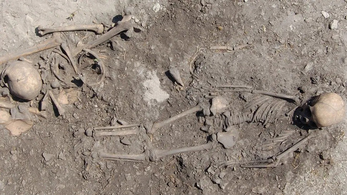 Cụ thể, một số ngôi mộ tại nghĩa trang trên chôn cất các thành viên trong một gia đình, bao gồm trường hợp một thiếu nữ được mai táng cùng cha. Ảnh: Johan Norderäng (CC BY).