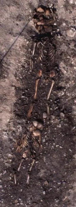 Mặc dù nông nghiệp đã lan rộng khắp châu Âu cùng với các cộng đồng nông dân vào thời điểm đó nhưng một số nhóm săn bắn hái lượm vẫn tiếp tục sinh sống ở Scandinavia, chủ yếu là săn bắt hải cẩu và đánh bắt cá. Ảnh: Göran Burenhult.