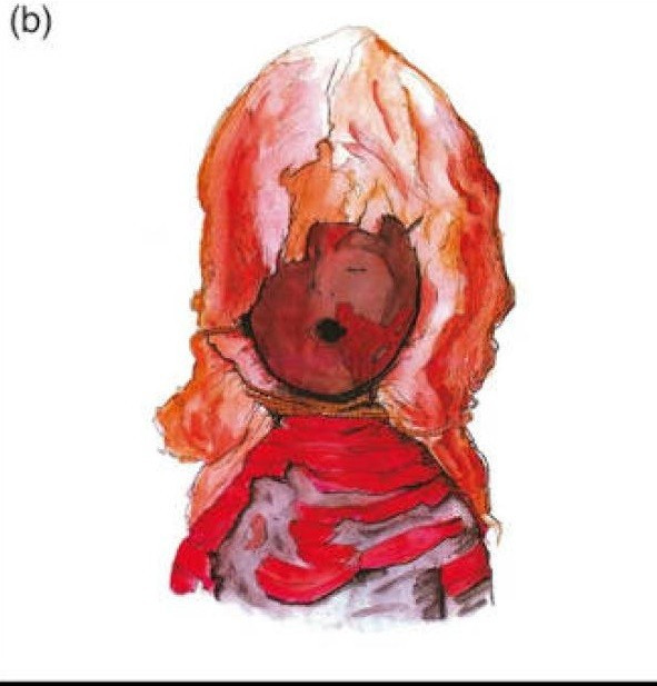 Trong nghiên cứu mới được công bố trên Tạp chí Khảo cổ học Cambridge, các chuyên gia đề xuất rằng, nền văn hóa Chinchorro đã thực hiện tập tục ướp xác có thể bắt nguồn từ một hình thức trị liệu nghệ thuật, giúp các cộng đồng cổ đại đối phó với tỷ lệ tử vong trẻ sơ sinh cao. Ảnh: Ancient origins.