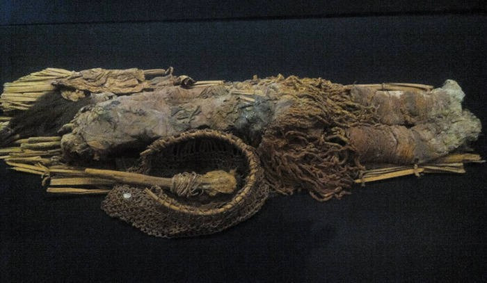 Nghiên cứu của các chuyên gia cho thấy quá trình ướp xác của người Chinchorro bắt nguồn từ cảm xúc trước tỷ lệ tử vong trẻ sơ sinh khá cao, có thể trầm trọng hơn do ngộ độc thạch tín mãn tính từ các nguồn nước bị ô nhiễm. Ảnh: WeHaKa/CC BY-SA 4.0.