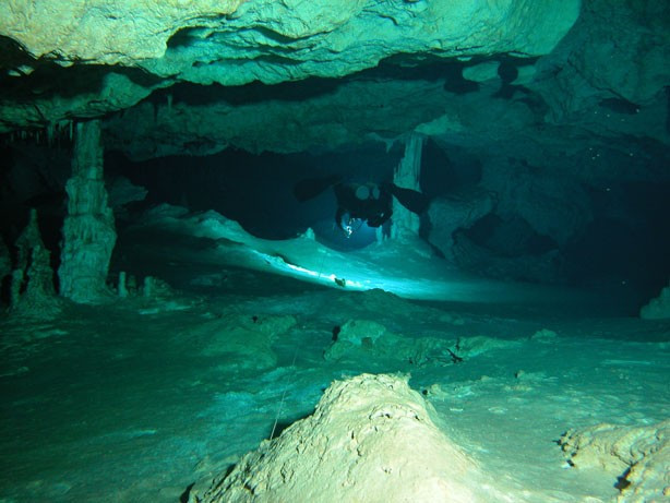 Khí Methane hình thành bên dưới nền rừng rậm và sau đó di chuyển xuống các hang động, nơi vi khuẩn và vi sinh vật sử dụng nó. Chúng lại trở thành thức ăn cho các loài giáp xác sống trong hang động ngầm cũng như một số loài cá. Ảnh: D. Riordan/gue.com.