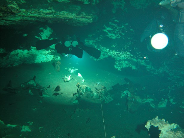 Hệ thống hang động dưới nước lớn nhất thế giới Ox Bel Ha là nơi sinh sống của nhiều sinh vật. Năm 2018, các nhà khoa học phát hiện Ox Bel Ha hỗ trợ hệ sinh thái của nó bằng khí Methane. Ảnh: D. Riordan/gue.com.