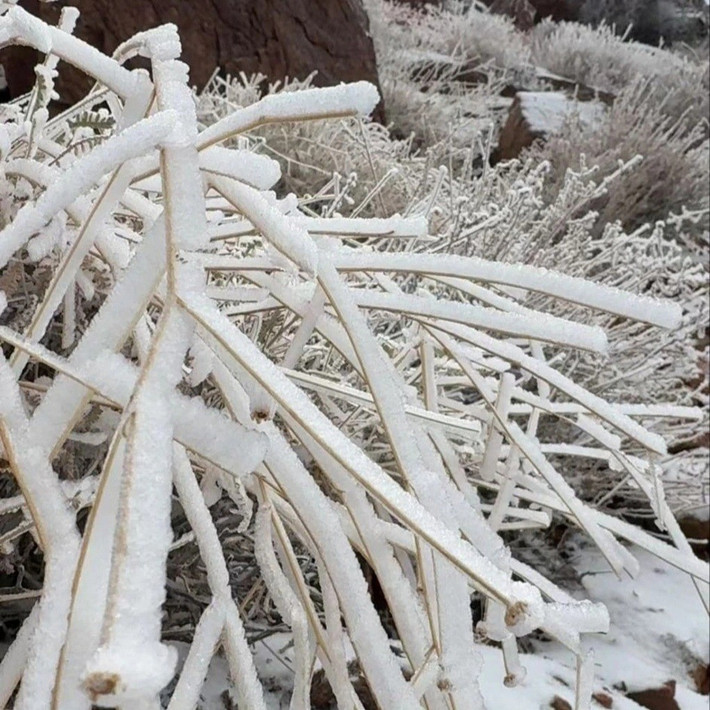 Những hình ảnh chụp tuyết rơi ở các sa mạc của Arab Saudi đã được nhiều người chia sẻ trên các mạng xã hội vào ngày 23/12. Ảnh: X.