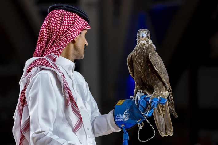 Cũng trong phiên đấu giá đó, một con chim ưng non được bán với giá 128.000 SR (gần 900 triệu đồng). Ảnh: bs42.com.