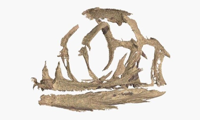 Tổ trứng hóa thạch 200 triệu năm tuổi trên được các chuyên gia tìm thấy tại Công viên quốc gia Golden Gate, Nam Phi vào năm 1976. Ảnh: CNN.