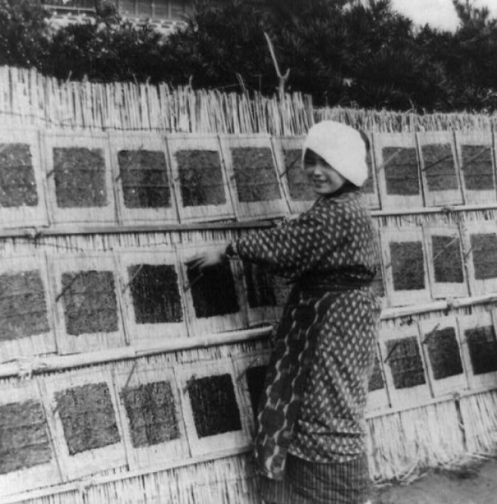 Hình ảnh người phụ nữ phơi khô rong biển.