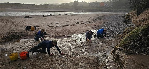 Nhóm chuyên gia đã khai quật địa điểm này trong 2 ngày, ghi chép và thu thập càng nhiều dữ liệu càng tốt. Khi họ quay trở lại một tuần sau đó, các dấu chân đã biến mất hoàn toàn. Ảnh: Mail Online.